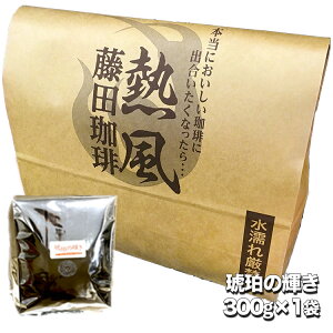 c聟߂̋PJuhy300gPiz̃JuhiX肪VX R[q[ R[q[  蓤