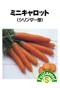 ycqz~jLbgiV_[jCARROT؂̎