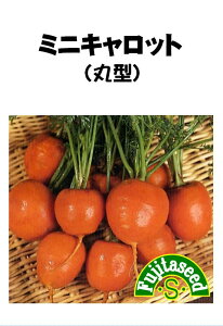 ycqz~jLbgiی^jCARROT؂̎
