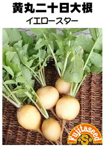 ycqzۓ\卪@CG[X^[؂̃^l