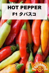 ycqzgEKV F1 ^oXRHOT PEPPER؂̎