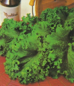 ycqz炵؁@}X^[hO[؂̃^l