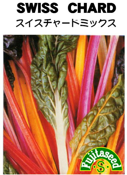 楽天市場 藤田種子 スイスチャード ミックス 白 赤 黄 ピンク 野菜のタネ 藤田種子株式会社