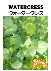 ycqzNX@EH[^[NX؂̃^l