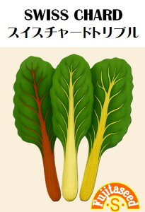 ycqzXCX`[h@gviEԁEj؂̃^l