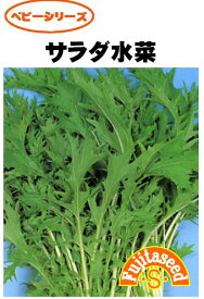 【藤田種子】サラダ水菜野菜のタネ