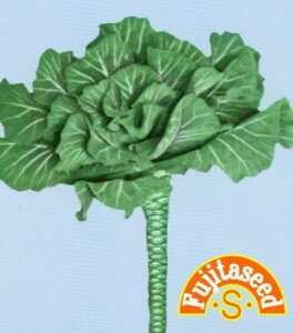 ycqz|gKQ[i`P[jKALE؂̎