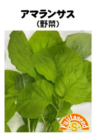 【藤田種子】アマランサス（黒種）野菜の種
