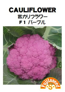 ycqzJt[ F1 p[v؂̃^l