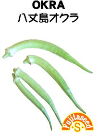 【藤田種子】八丈島オクラ野菜のタネ