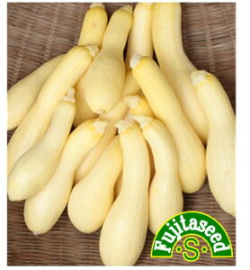 ycqzF1YbL[j@CG[NlbN؂̃^l