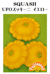 ycqzUFOYbL[j@CG[؂̃^l