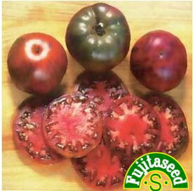 【藤田種子】黒トマト野菜のタネ