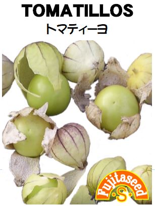 食用ほおずきの一種です 藤田種子 トマティーヨ野菜のタネ 激安格安割引情報満載