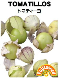 【藤田種子】トマティーヨ野菜のタネ