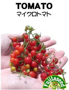 【藤田種子】マイクロトマト　野菜のタネ