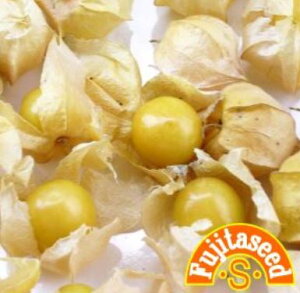 ycqzXgx[g}gnj[S[h؂̃^l