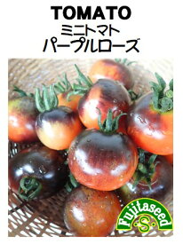 【藤田種子】ミニトマト　パープルローズ野菜のタネ