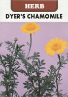 【藤田種子】ダイヤーズカモミールDYER'S CHAMOMILEハーブ種