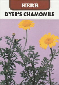 ycqz_C[YJ~[DYER'S CHAMOMILEn[u