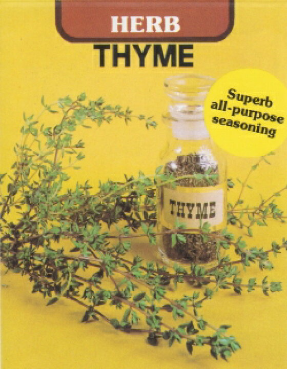 楽天市場 藤田種子 タイムコモンタイムハーブ種 藤田種子株式会社