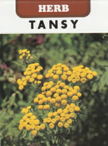 ycqz^W[TANSYn[u