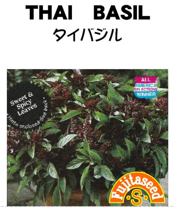 102円 【在庫限り】 ハーブ タネ 種 レモンバジル 藤田種子 102円 【在庫限り】 ハーブ タネ 種 レモンバジル 藤田種子