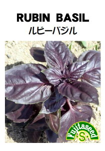 ycqzr[oWRUBIN BASILn[u