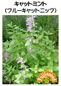 ycqzLbg~giu[Lbg~gjn[u