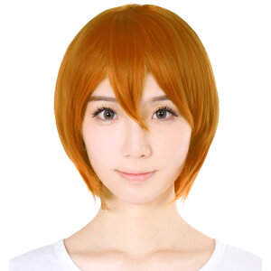 コスト 一般的に言えば 読書 男装 ウィッグ ドンキ 値段 Businesshotelmatsusaka Jp