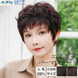 ×pEBbO  l l100% V[g {u EBbO R tEBbO fB[X ECbO  ×p lуEBbO oȂ   R   Eя  i