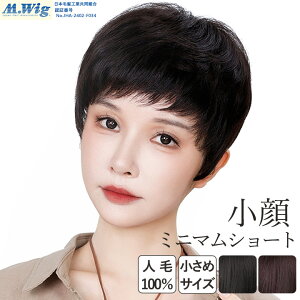 ×pEBbO  l l100% V[g {u EBbO R tEBbO fB[X ECbO  ×p lуEBbO oȂ   R   Eя  i