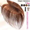 部分ウィッグ ピン無し ヘアピース 人毛100％ ファイバー 前髪ウィッグ 白髪隠し 薄毛 ボリュームアップ ウイッグ 自…