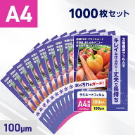 ラミネートフィルム A4サイズ 100ミクロン (1000枚入り) 光沢タイプ 216×303mm ラミネーターフィルム