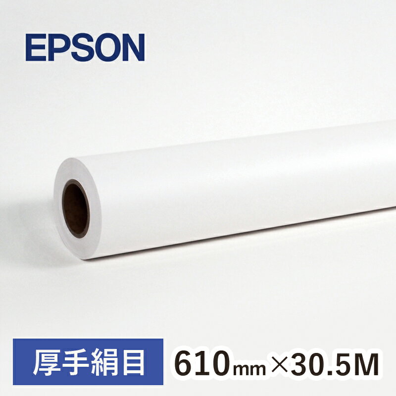 EPSON プロフェッショナルフォトペーパー厚手絹目 (約914mm幅×30.5m) PXMC36R11 並行輸入品 - 3