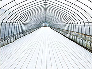 _CIOhV[gzCg@1m×100m hV[g ˃V[g _CI