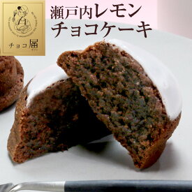 チョコ届（チョコギフト）バレンタイン【瀬戸内レモンチョコケーキ9個入】スイーツ チョコレート 贈り物 プレゼント 送料無料 冷凍便