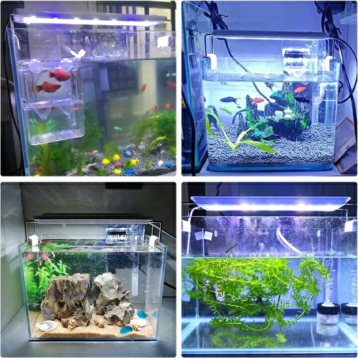 楽天市場】水槽ライト アクアリウムライト 16W led水槽ライト 72個LED 