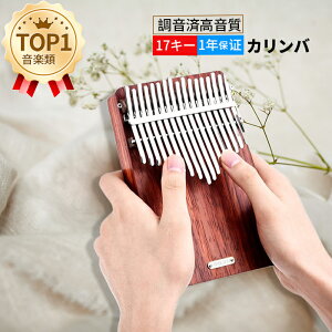 KiLingTing LT-K17A 17L[JorTsAmiɎXj