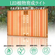 植物育成ライト LED植物ライト フルスペクトル パネルタイプ 省エネ 植物育成 屋内栽培 観葉植物育成ライ…