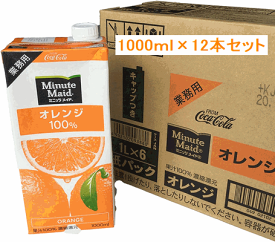 【即配】コカ・コーラ社製品ミニッツメイド オレンジ100% 1L 紙パック6本入×2ケース（12本）※ギフト包装不可商品※同梱不可商品
