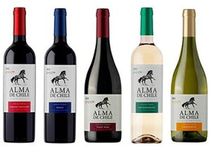 yőIׂ镟܁zA}EfE`Җ]750ml×5{Zbg5ނ̒ADȏi5{IтBEJxl \[BjEEsmEm[E\[BjE