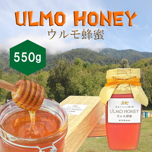 yz  {I {X璼 EI KXe 550g Ẵ}kJ I ݂͂ n`~c  I ݂͂X V   ӂ Mtg R N Ɖu