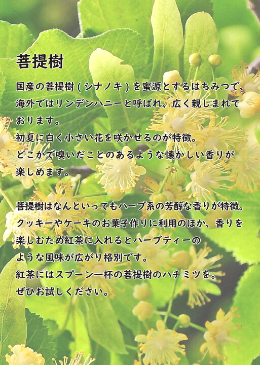 21高い素材 国産はちみつ けんぽなしのハチミツ 藤原国産蜂蜜 150g ガラス瓶入り 創業百二十余年老舗藤原養蜂場 Materialworldblog Com