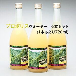 yz {I {X璼 v|XEH[^[ 720ml 6{ [[[ v|X r^~Cz I ݂͂ mAR[ yVsVbv ݂͂