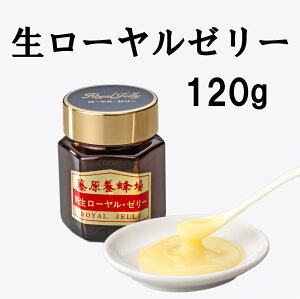 yz [[[ KXe 120g pY{I {I {X璼 RHi C[[ ݂͂X V  A~m_ NHi R N e Ɖu nj