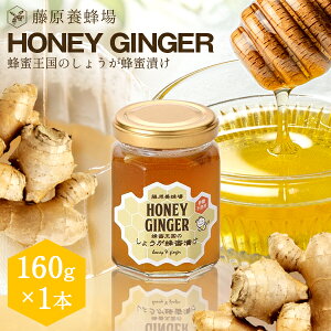 yz{I {X璼 nj[WW[ KXe 160g VEK݂̂͂Ђ I ݂͂ n`~c yVsVbv I ~ɃIXX ݂͂X V  