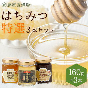 yz{I Y݂͂ Iuȁv160gA`R160gA傤160g 3{Zbg KXr e160g Y I ݂͂ n`~c  yVsVbv ݂͂X 