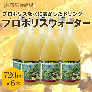 �y�����z�������� �����{�I�� �{�X���璼�� �v���|���X�E�H�[�^�[ 720ml 6�{�� ���[�����[���[ �v���|���X �r�^�~��C�z�� �I�� �͂��݂� �m���A���R�[�� �y�V�s������V���b�v �͂��݂��