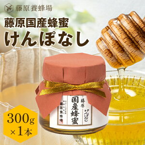 yz{I {X璼 YI ۂȂ KXe 300g Y I ݂͂ n`~c ݂͂ yVsVbv ݂͂X V  ӂ Mtg R